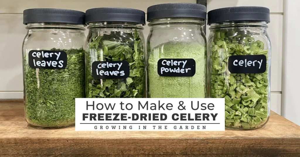 Home Freeze Drying (Beginner's Guide)