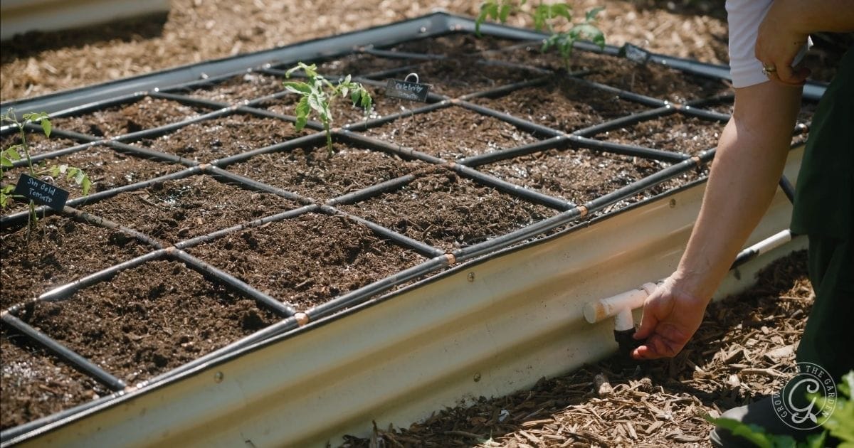 Watering correctly is essential when summer gardening