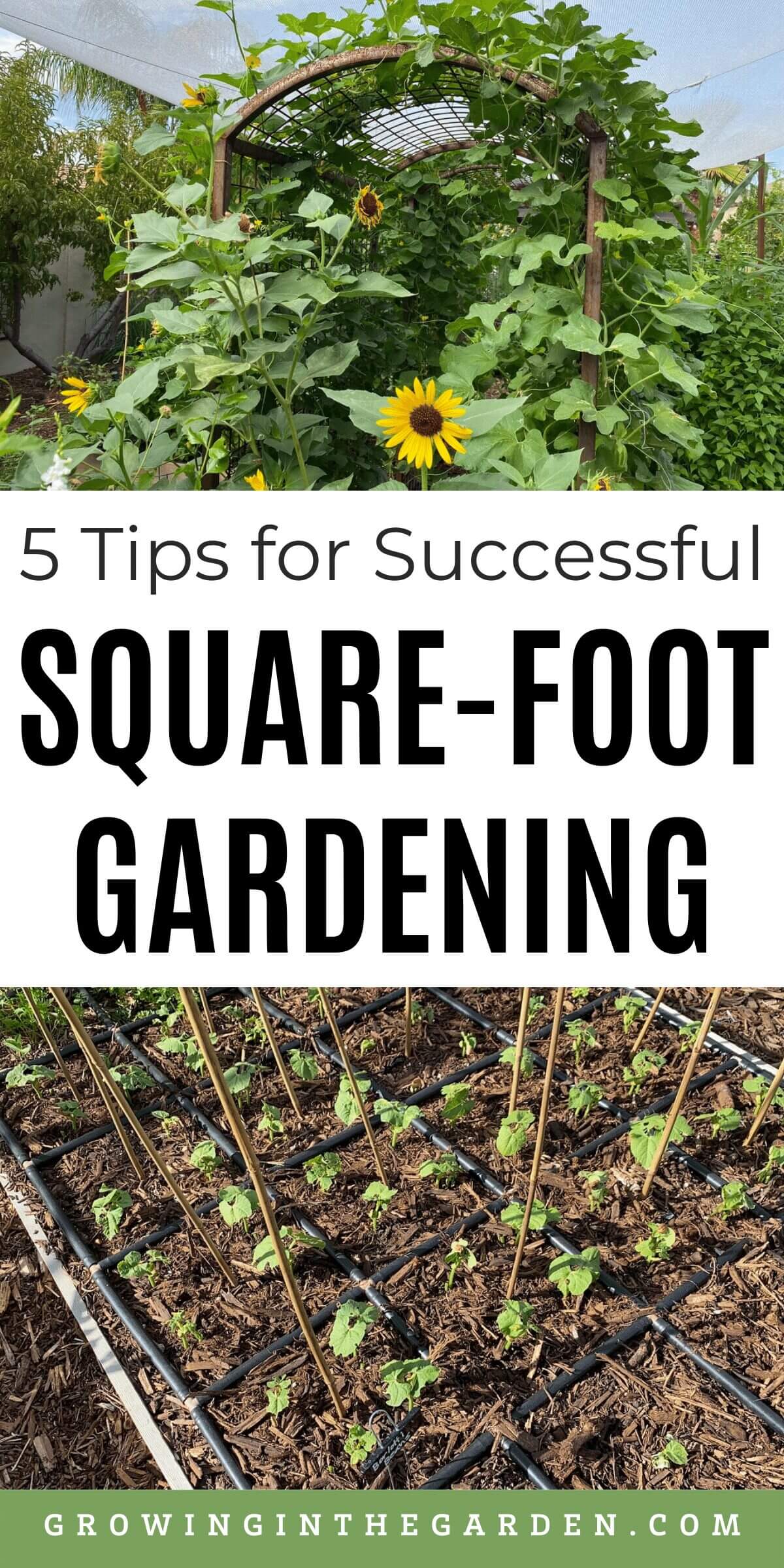 5 Tips for a Successful Square Foot Garden
