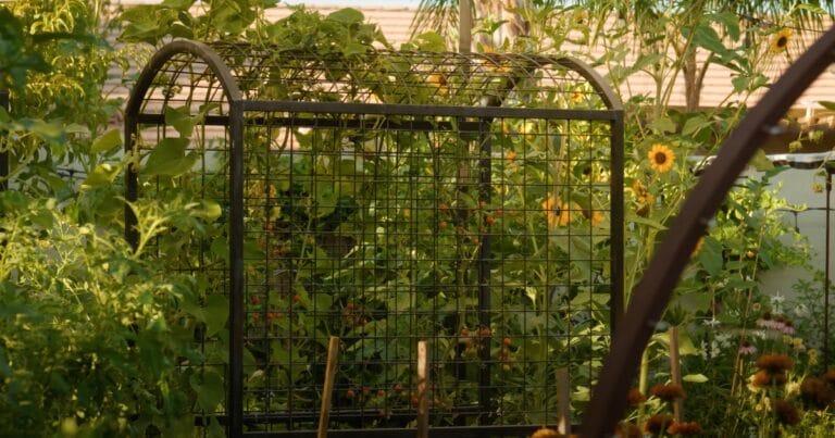 A metal garden trellis covered in green vines and surrounded by various plants and flowers.