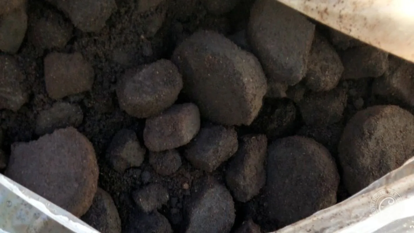 A close-up view of round, dark brown lumps and powder inside a partially opened bag.