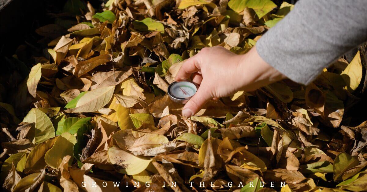 Spring Garden Checklist - Compost leaves