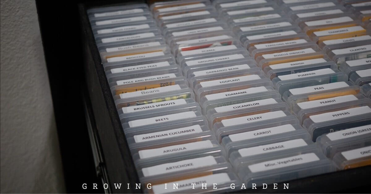 Spring Garden Checklist - Organize Seeds