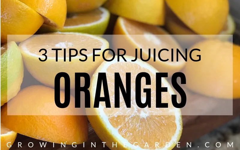 Three tips for juicing oranges #juicing #orangejuice #oranges #citrus