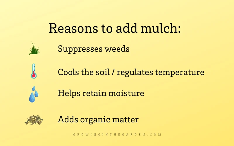 Reasons to add mulch infographic