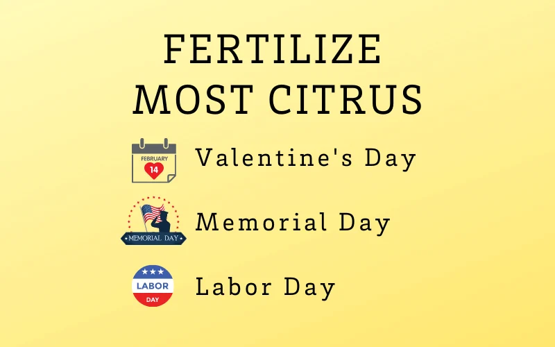 Citrus Fertilizing chart