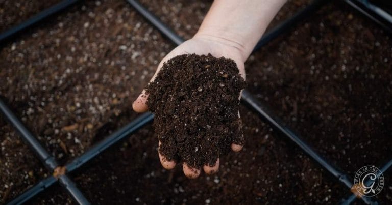 Choosing the Best Soil for Raised Bed Gardening - Growing In The Garden