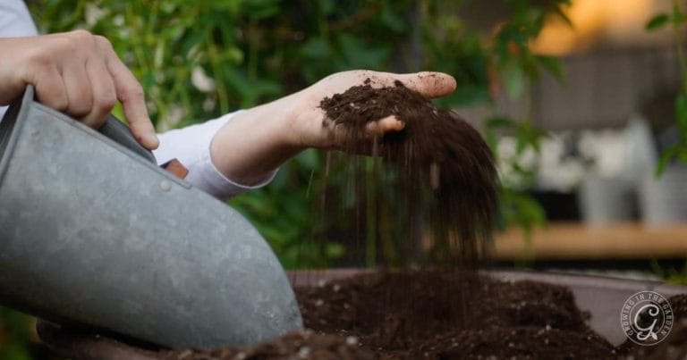 Choosing the Best Soil for Raised Bed Gardening - Growing In The Garden
