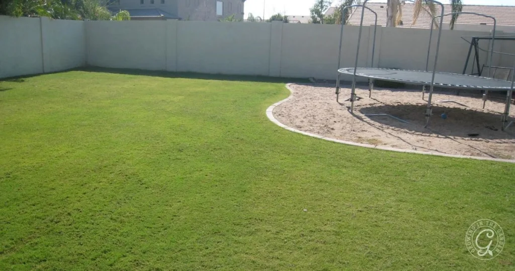 A backyard with green grass, a sandpit, raised garden beds, and a trampoline near a light-colored wall.