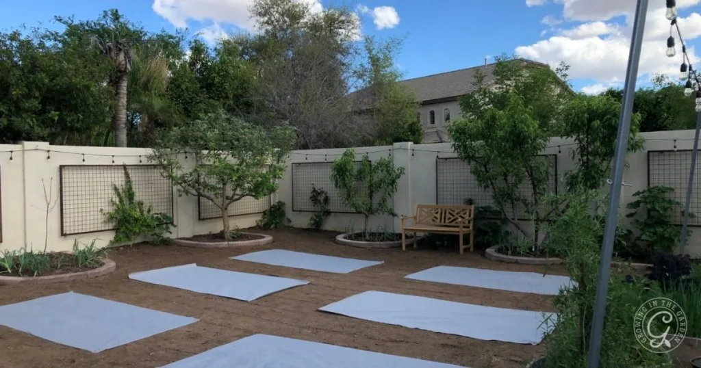 Outdoor garden with white yoga mats arranged on the ground, trees, a bench, and a white fence in the background, featuring raised garden beds that add structure and beauty to the serene setting.