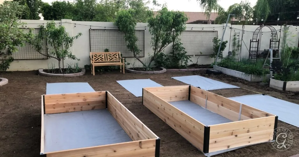 Two empty raised garden beds are set up in a backyard with a bench and green plants along the fence, creating a welcoming space for your next raised bed garden design.