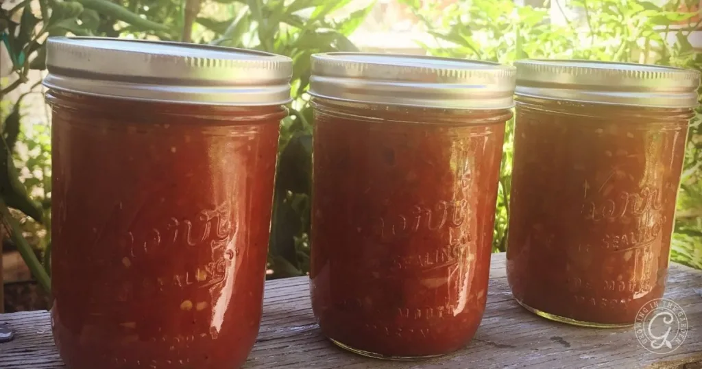 Three glass jars filled with red tomato sauce, made from our favorite garden salsa recipe, sit on a wooden surface with greenery in the background.