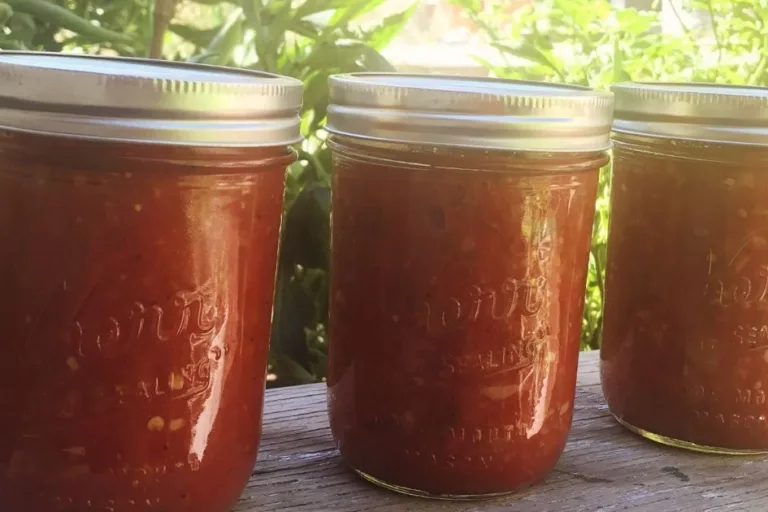 Our Favorite Garden Salsa Recipe featured image