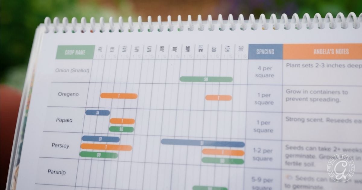 A close-up of a spiral-bound planting calendar displays crop names, planting months, spacing guides, and notes&mdash;including when to plant oregano&mdash;alongside details for vegetables and herbs like papalo and parsley. The colorful chart is partially blurred.