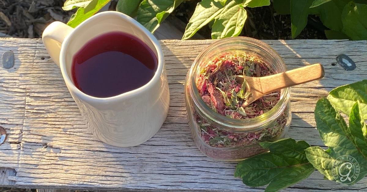 A white mug filled with red herbal tea, made using roselle hibiscus, sits next to a glass jar of dried herbs with a small wooden spoon. Both rest on a weathered wooden surface outdoors, surrounded by green leaves.