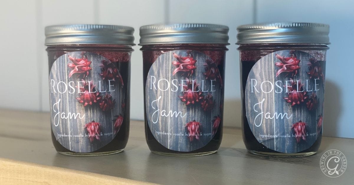 Three jars of Roselle jam with illustrated labels and silver lids are lined up on a wooden surface.