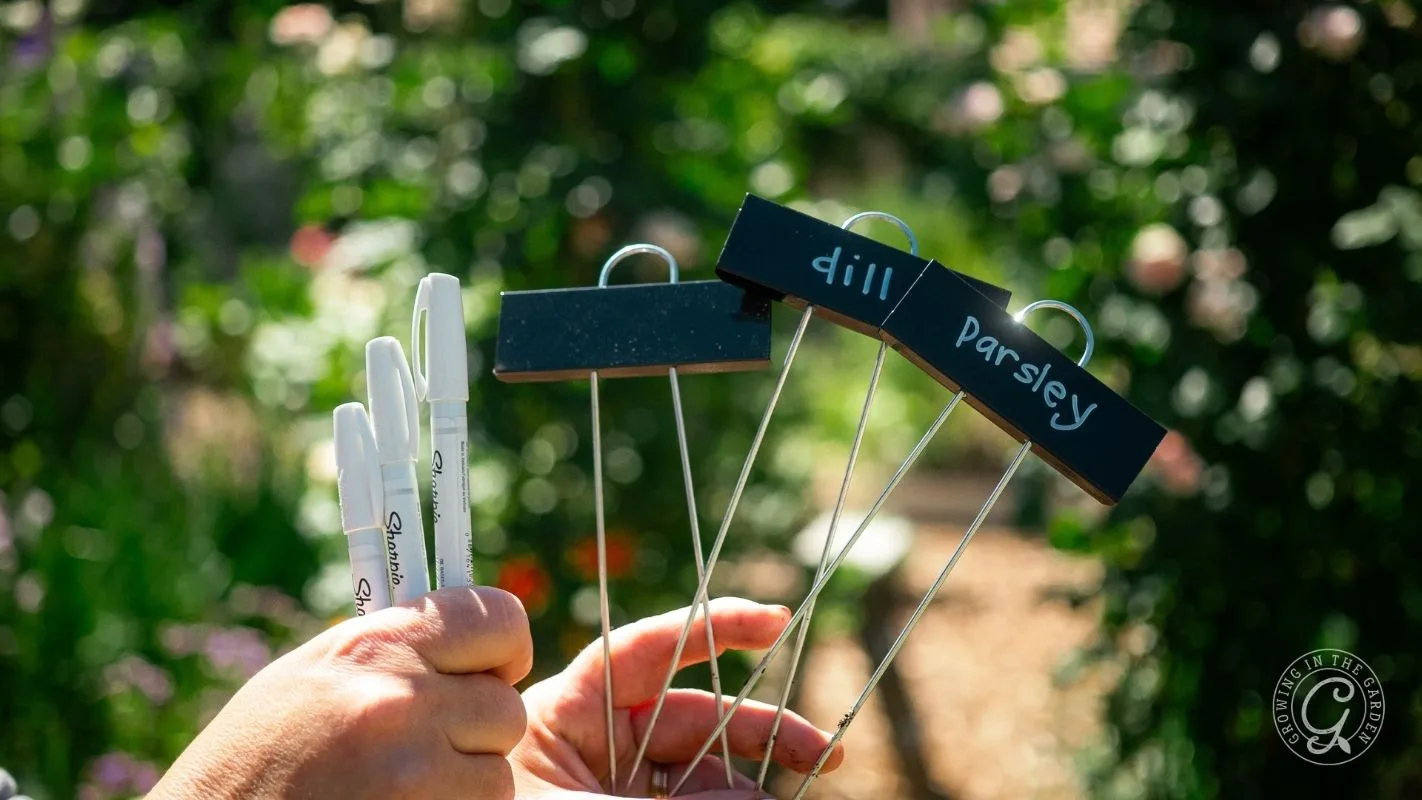Hands holding plant markers labeled dill and parsley with markers, in a garden setting.