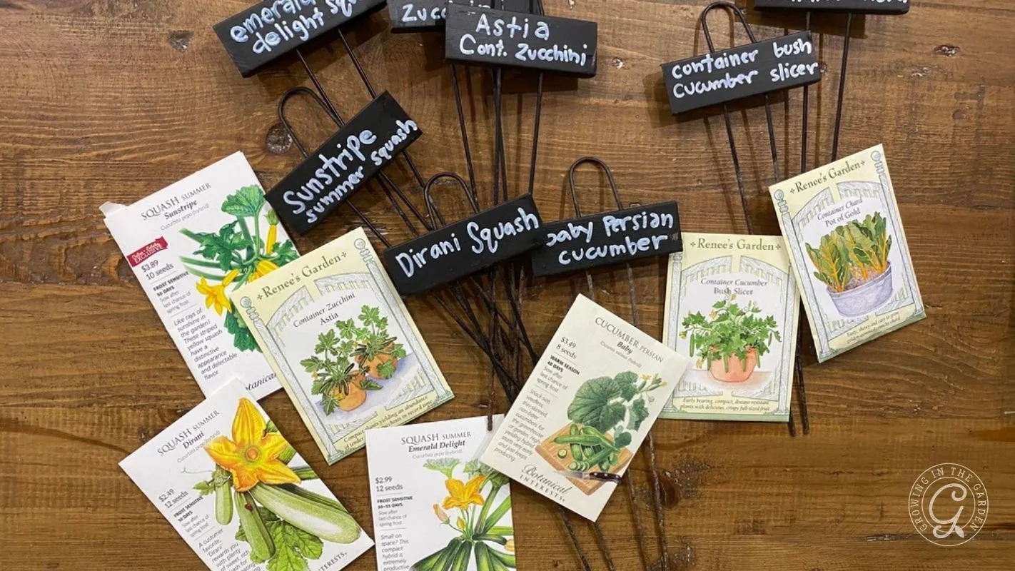 Seed packets and plant labels for various squash and cucumber varieties spread out on a wooden table.