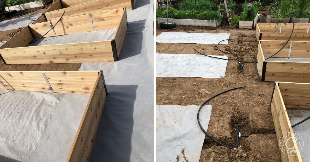 Wooden raised garden beds being assembled on soil with fabric liners and irrigation pipes laid out&mdash;an effective method if you&rsquo;re looking for how to kill Bermuda Grass and prevent it from invading your planting space.