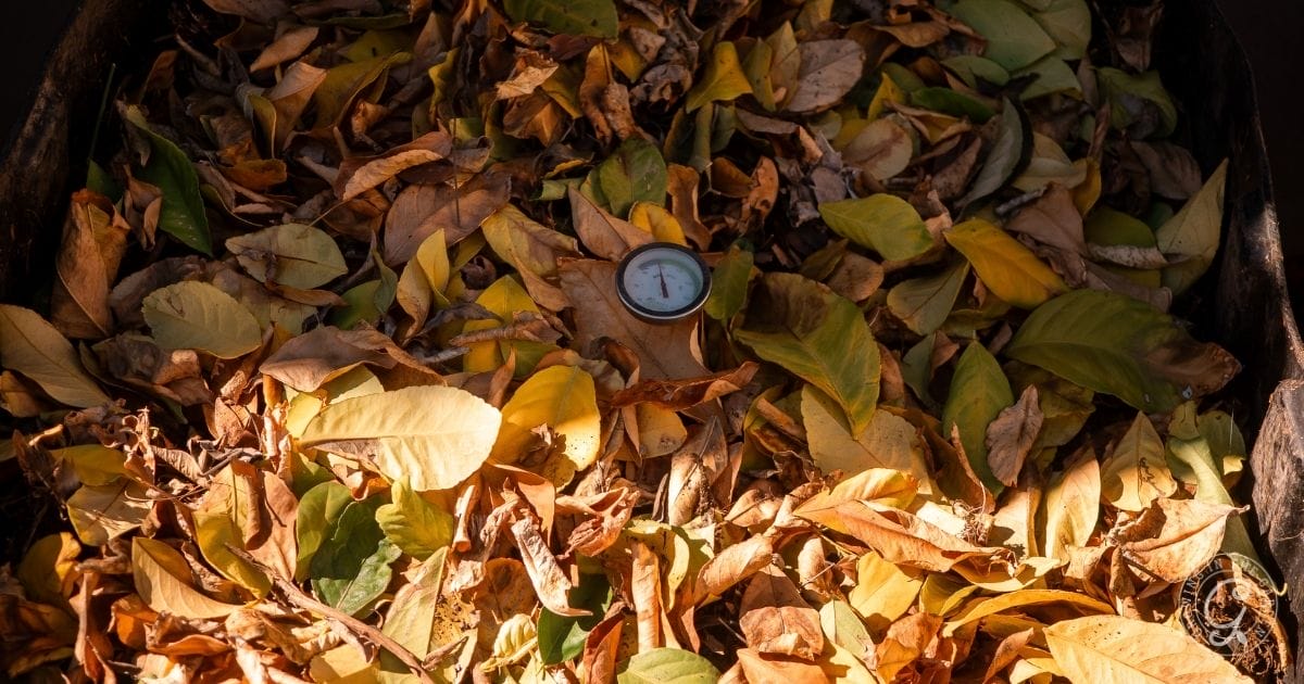 How to Compost (2)