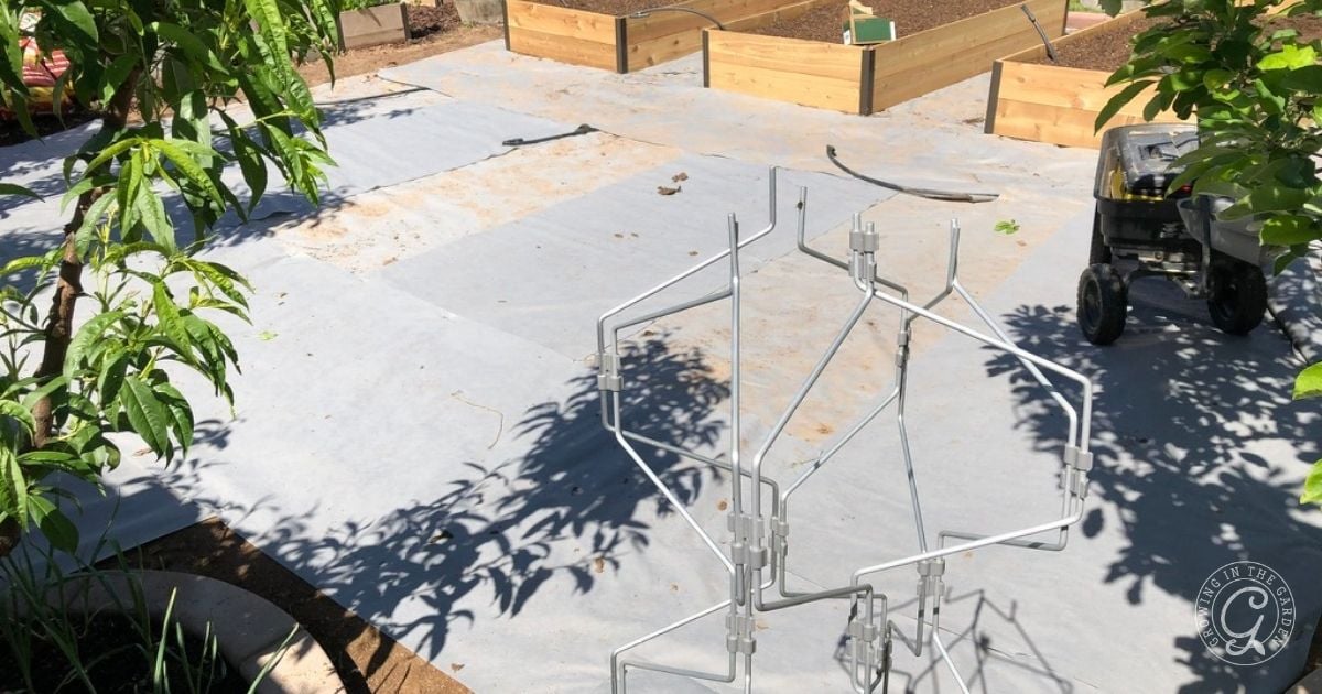 A garden with raised beds, a metal plant stand, tarp-covered ground&mdash;a classic scene for anyone learning how to kill Bermuda Grass&mdash;plus gardening tools shining in the sunlight.