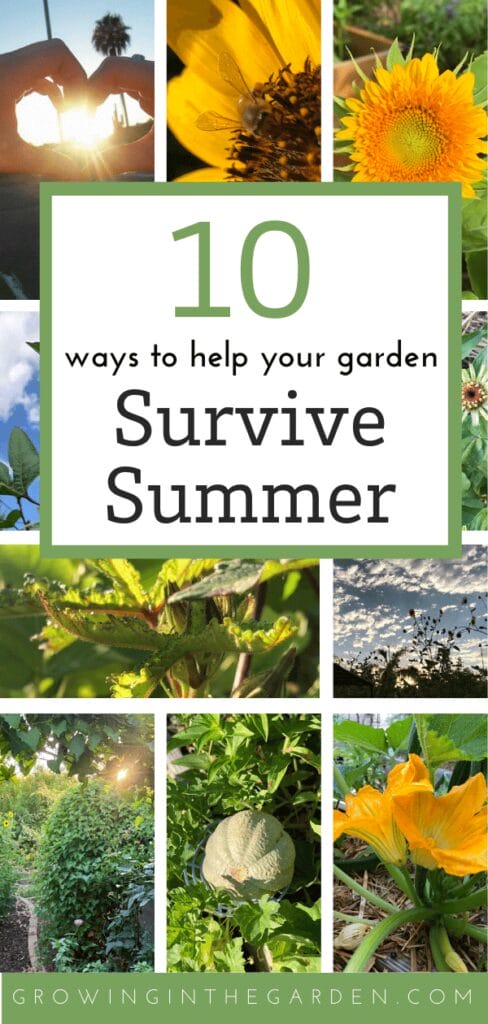 10 Ways to Help Your Garden Survive Summer - Growing In The Garden