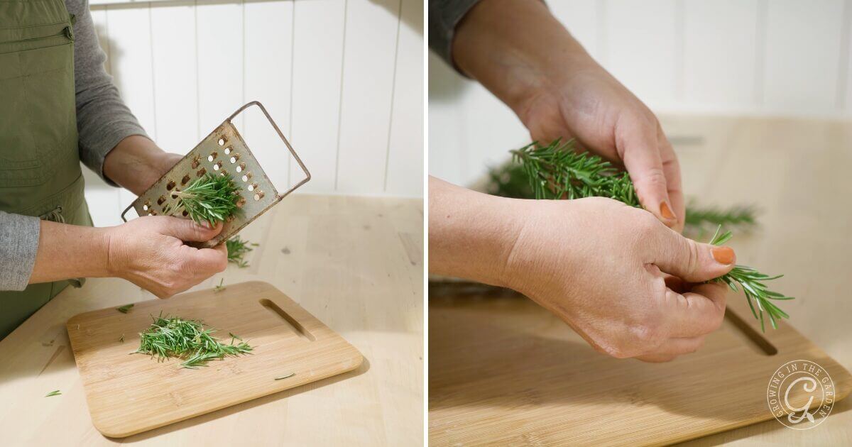 Using Rosemary
