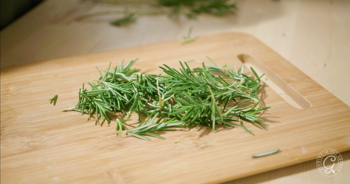 Using Rosemary