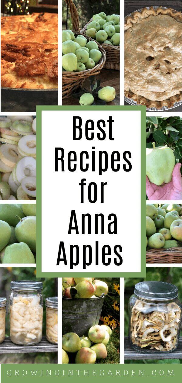 Best Recipes for Anna Apples