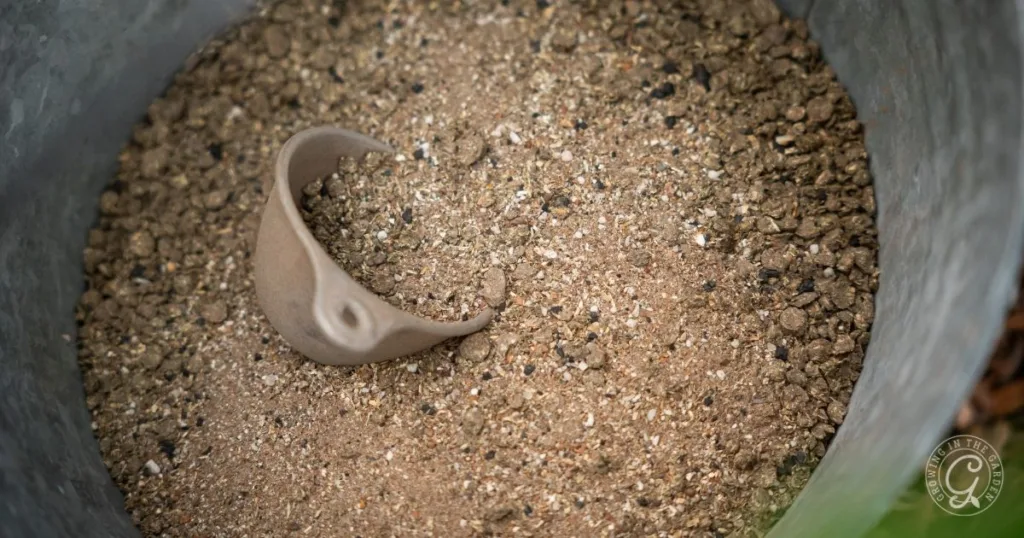A broken piece of pottery is partially buried in sandy soil inside a round container, creating excellent drainage&mdash;a perfect setup for using the best organic garden fertilizer.
