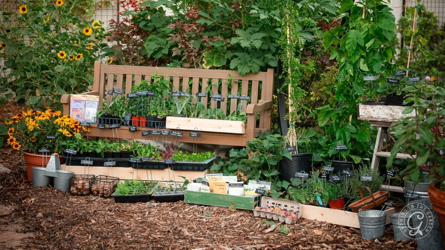 A garden bench surrounded by potted plants, seedlings, flowers, and gardening supplies in a vibrant garden.