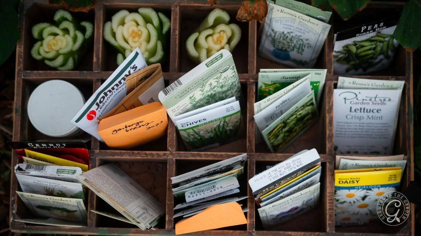Assorted seed packets organized in a wooden box, with a few decorative succulents in the top left section.