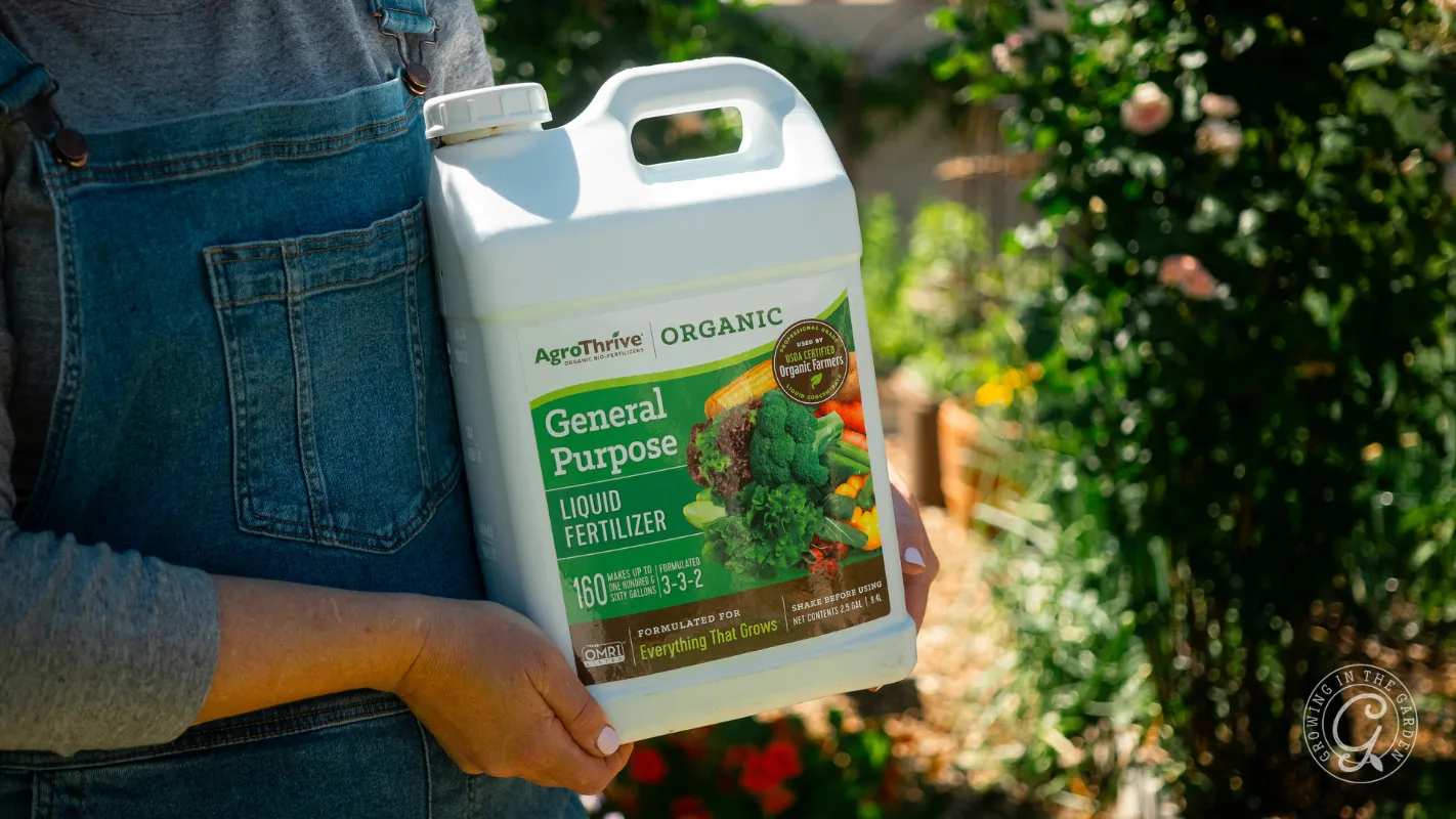 Person holding a large container of AgroThrive Organic General Purpose Liquid Fertilizer in a garden.