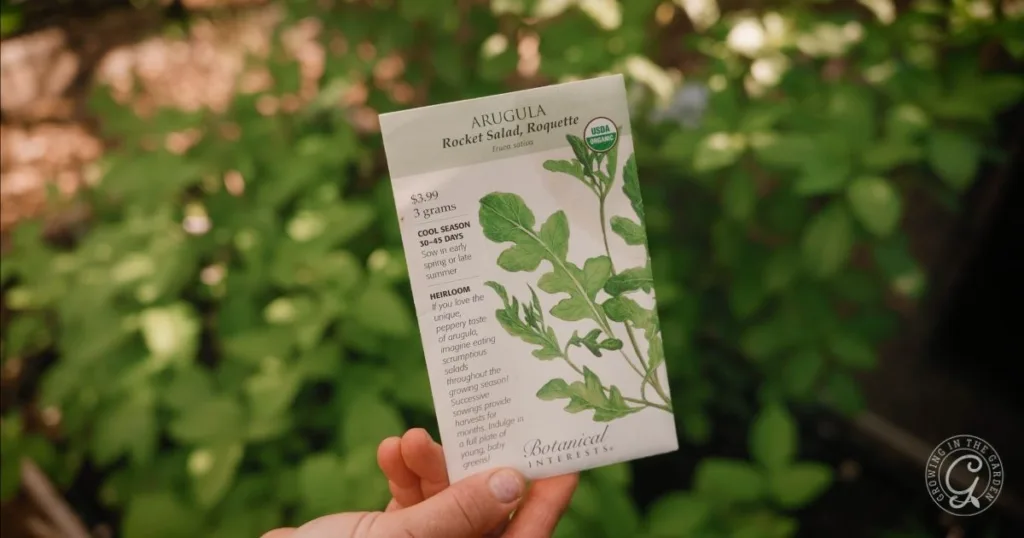 A hand holds a packet of arugula (rocket salad) seeds in a garden with green plants in the background, perfect for anyone learning how to grow arugula at home.