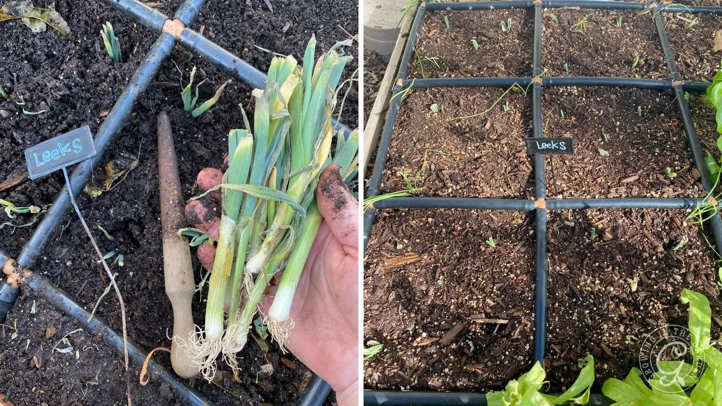 A hand holds harvested leeks over a garden bed; nearby, young leeks are planted in a gridded plot labeled Leeks.