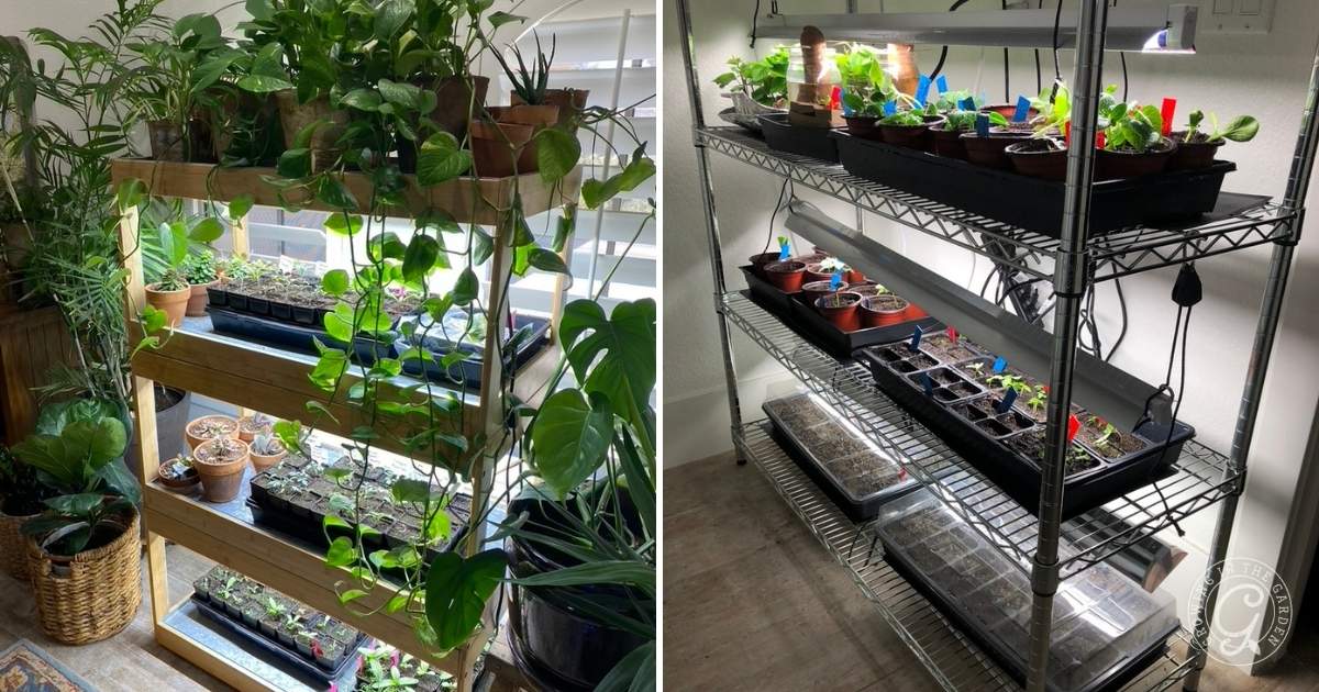I use a wire shelving unit that I move into my office or laundry room when it&rsquo;s time to start seeds indoors. It holds my seed-starting supplies in the garage for the rest of the year. 