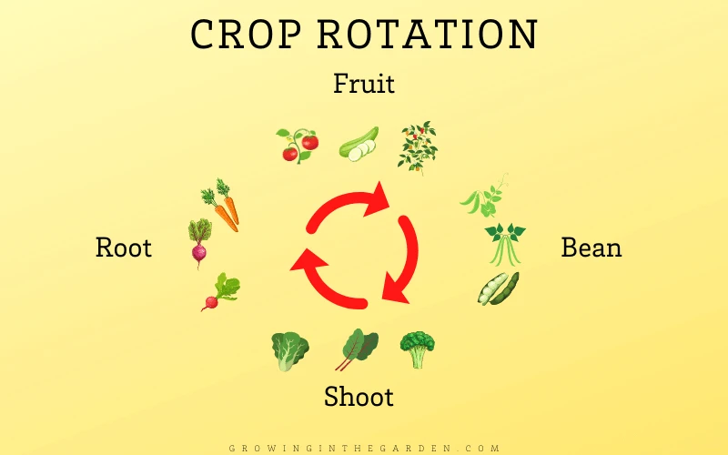 Crop Rotation Chart