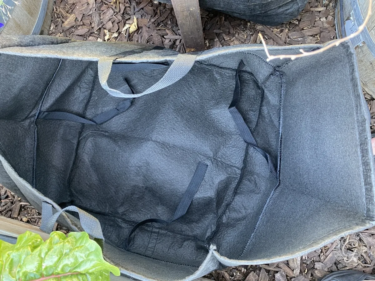 A black fabric grow bag, perfect for gardening in grow bags, sits open on mulch and displays sturdy handles and interior support straps.