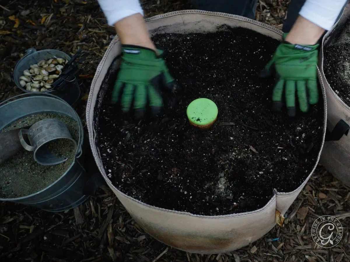 Person wearing green gloves preparing soil in a fabric pot, with gardening tools and supplies nearby&mdash;perfect for gardening in grow bags.