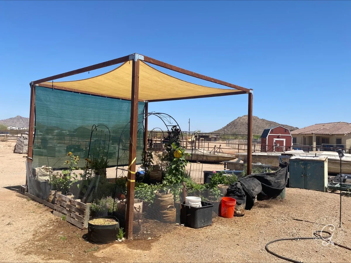 A backyard garden with shade cloth, netting, and gardening in grow bags, surrounded by desert, barns, and distant hills under a blue sky.