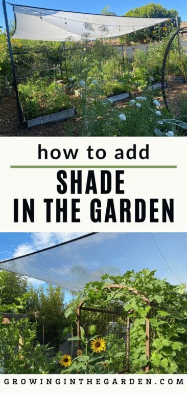 How to Create Shade in the Garden - Growing In The Garden