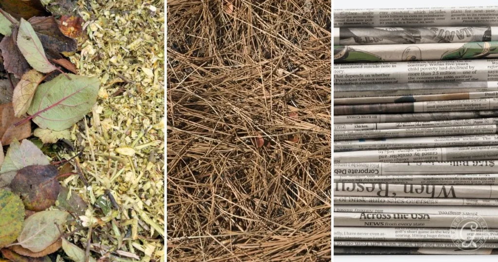 Close-up of leaves, mulch, straw, and stacked newspapers—each shown in a separate vertical panel—illustrates different options for mulching your garden.