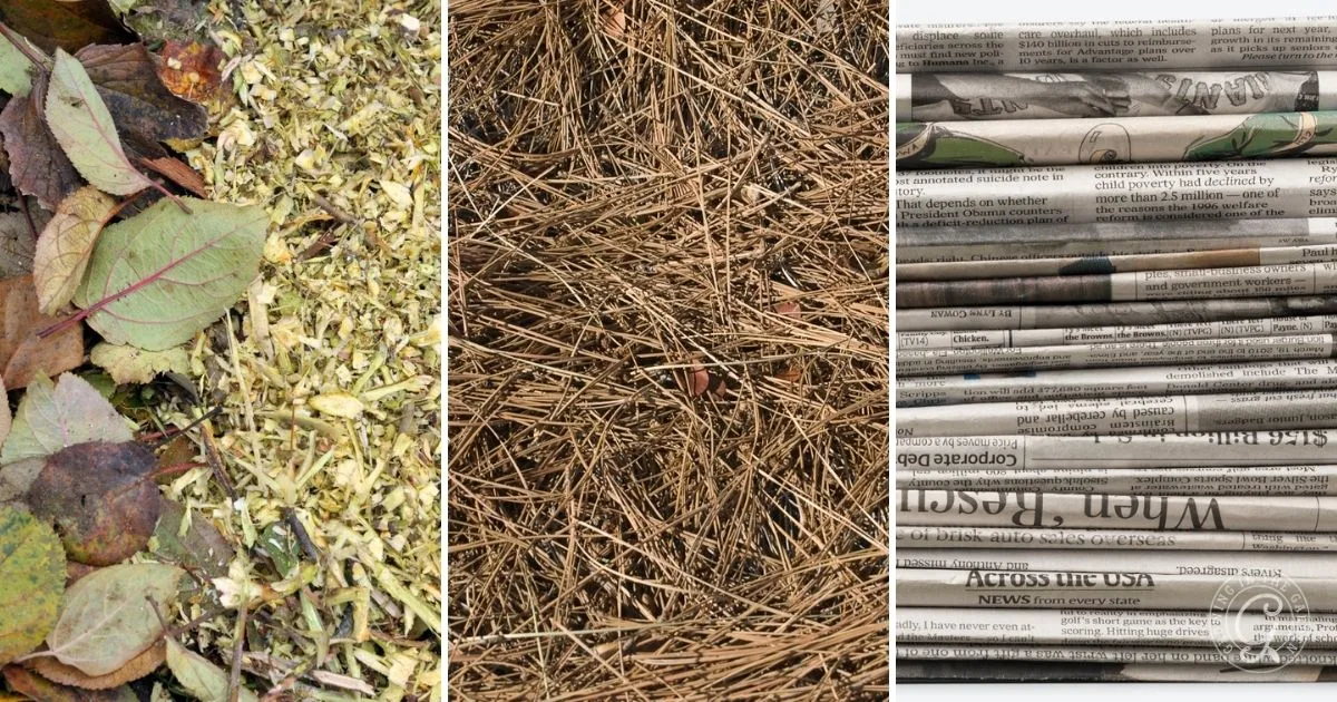 Close-up of leaves, mulch, straw, and stacked newspapers—each shown in a separate vertical panel—illustrates different options for mulching your garden.