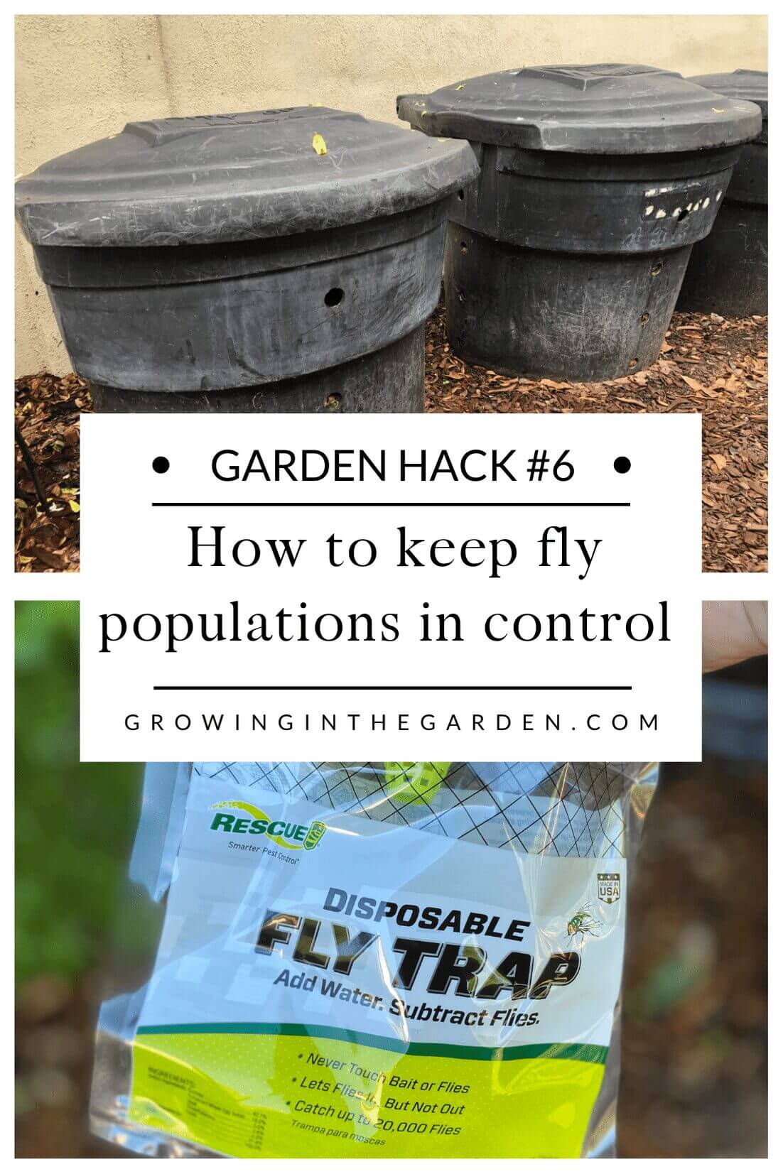 Pest Control Hack #6: How to keep fly populations in control