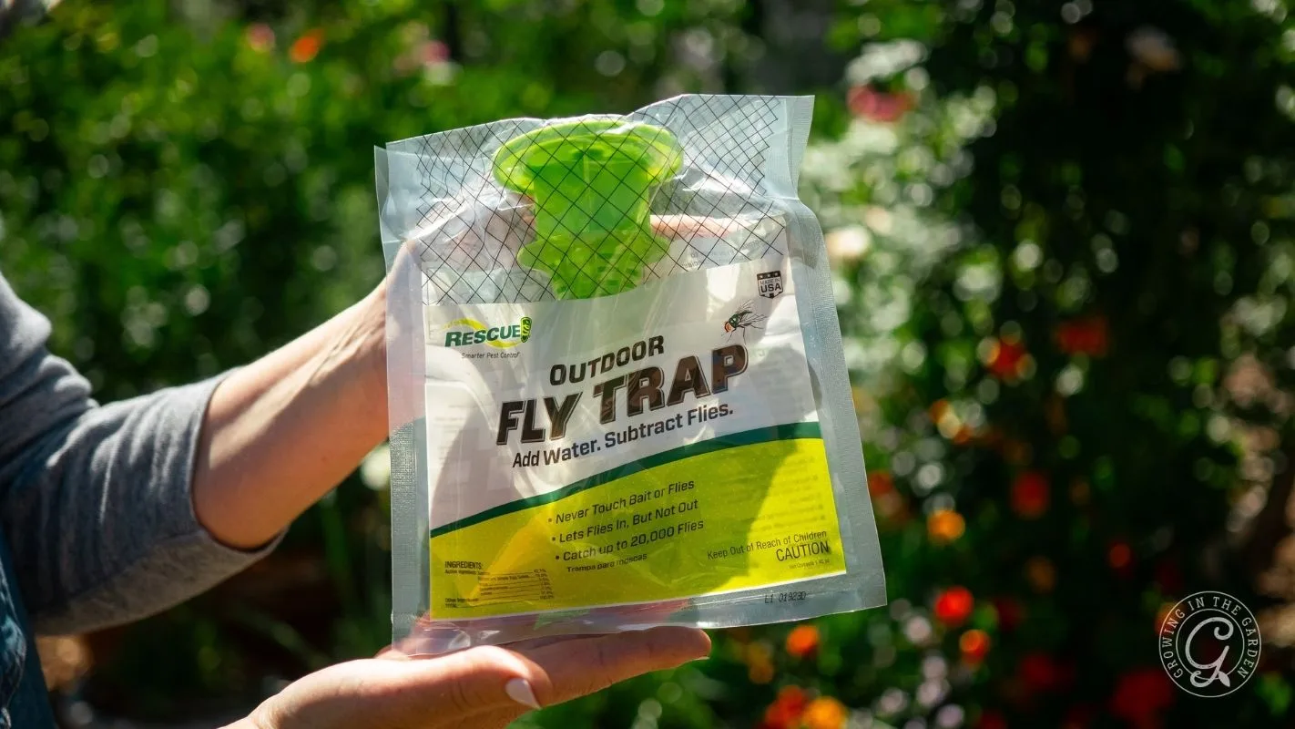 Hand holding a RESCUE! Outdoor Fly Trap package with garden flowers blurred in the background.