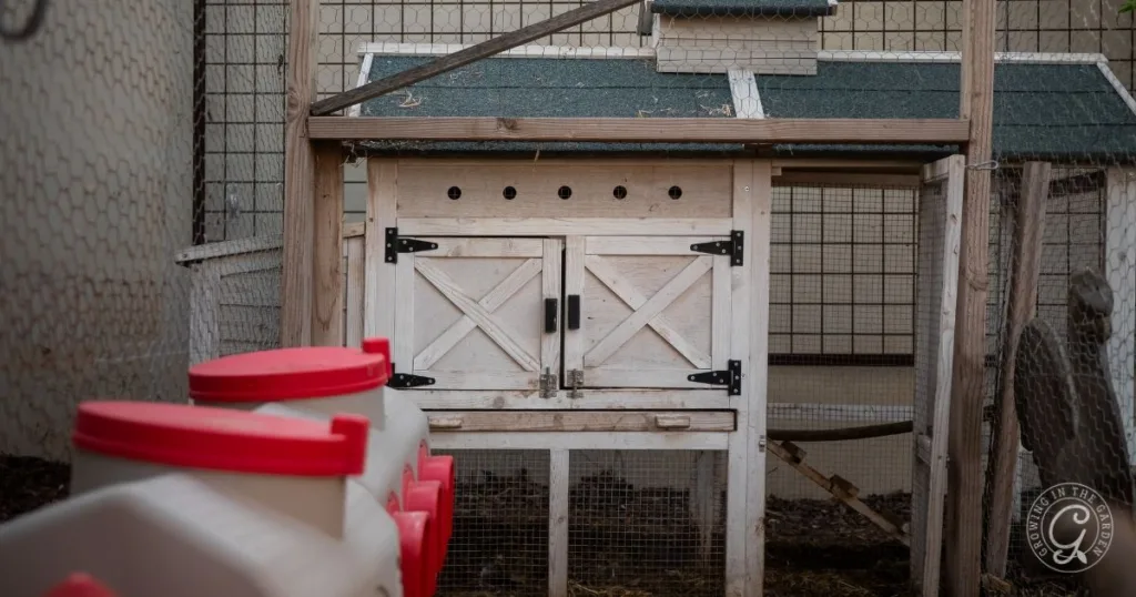 A wooden chicken coop with a green roof sits inside a fenced enclosure, featuring red feeders and essential chicken supplies in the foreground.