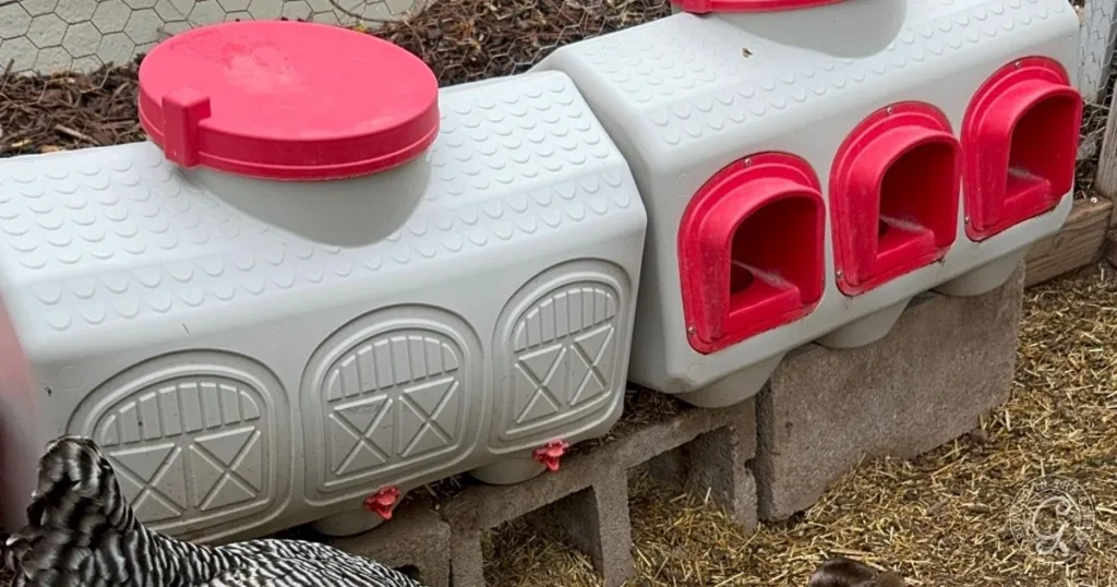 Durable plastic chicken nesting boxes with red lids and openings set on cinder blocks; essential chicken supplies for a tidy, organized coop. Chickens gather nearby.