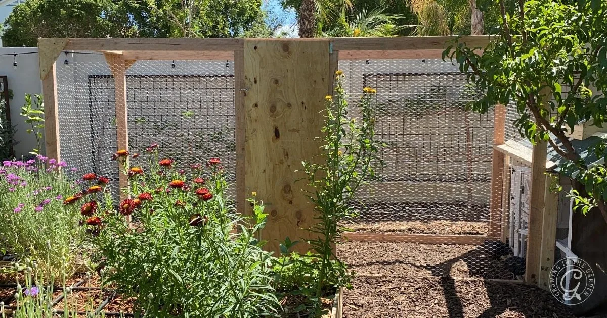 A fenced garden enclosure with wire mesh and blooming flowers in front, under a sunny sky&mdash;perfect for keeping your chicken supplies safe and organized.