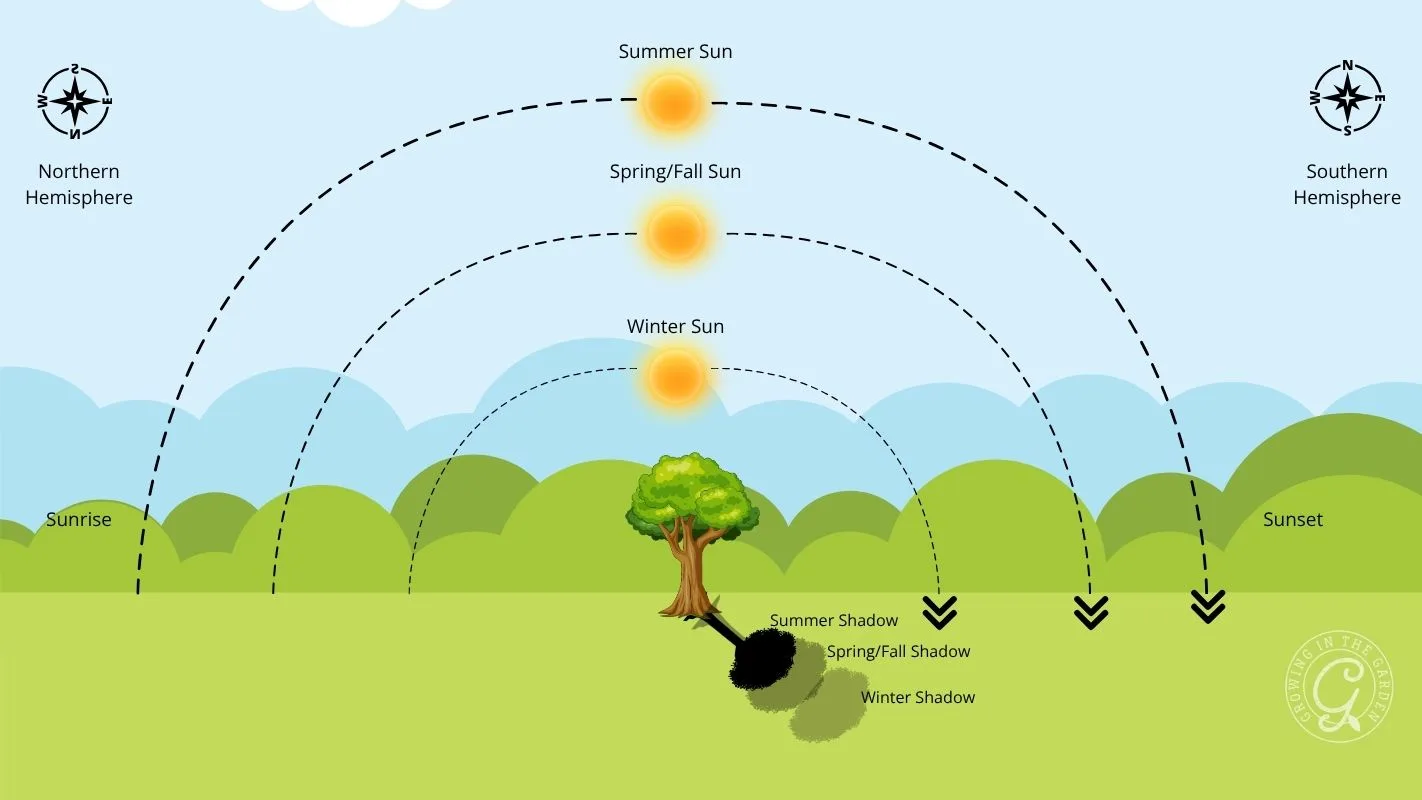 Diagram showing the sun’s path and tree shadows during summer, spring/fall, and winter in both hemispheres.