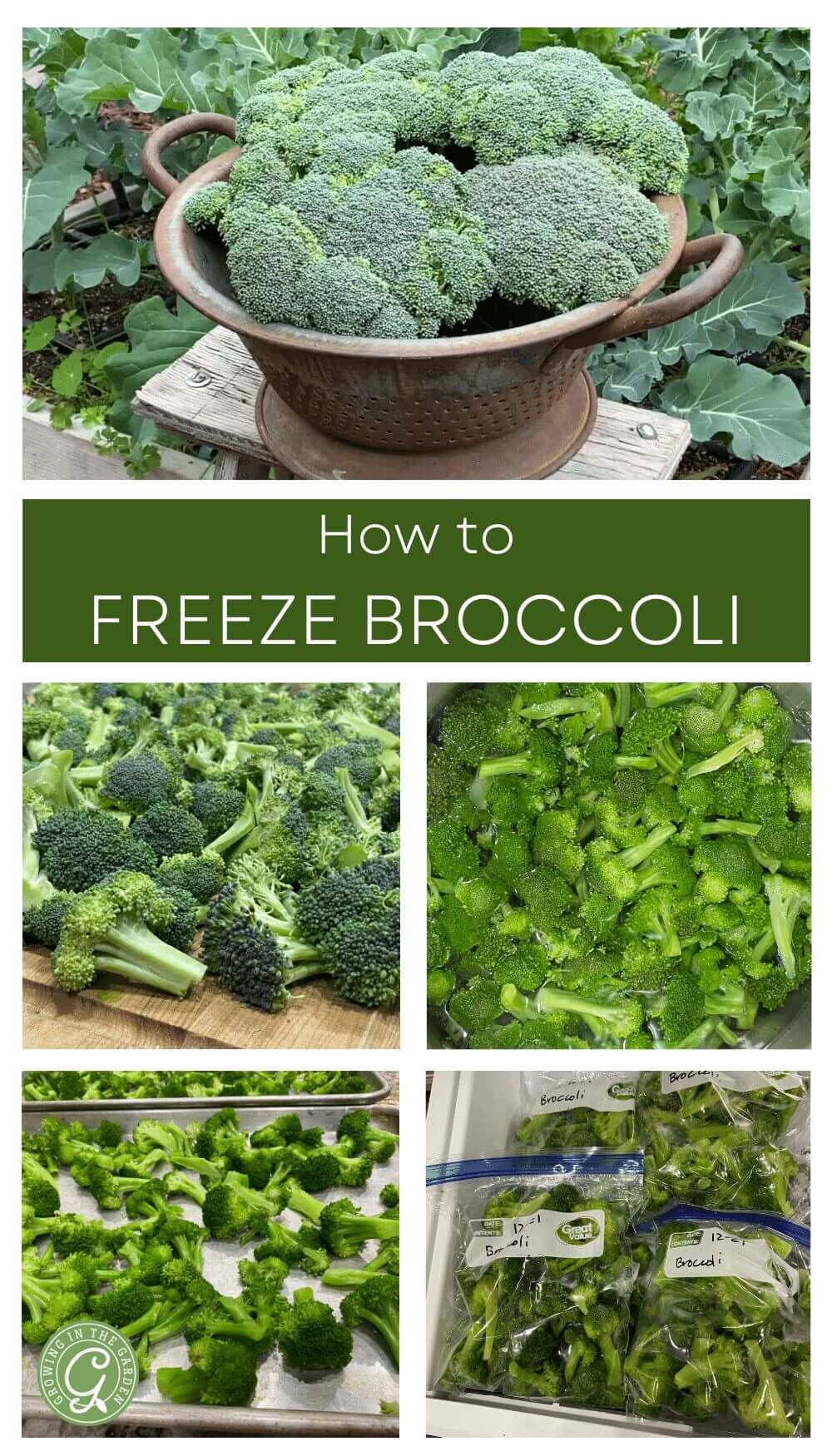 How to freeze broccoli
